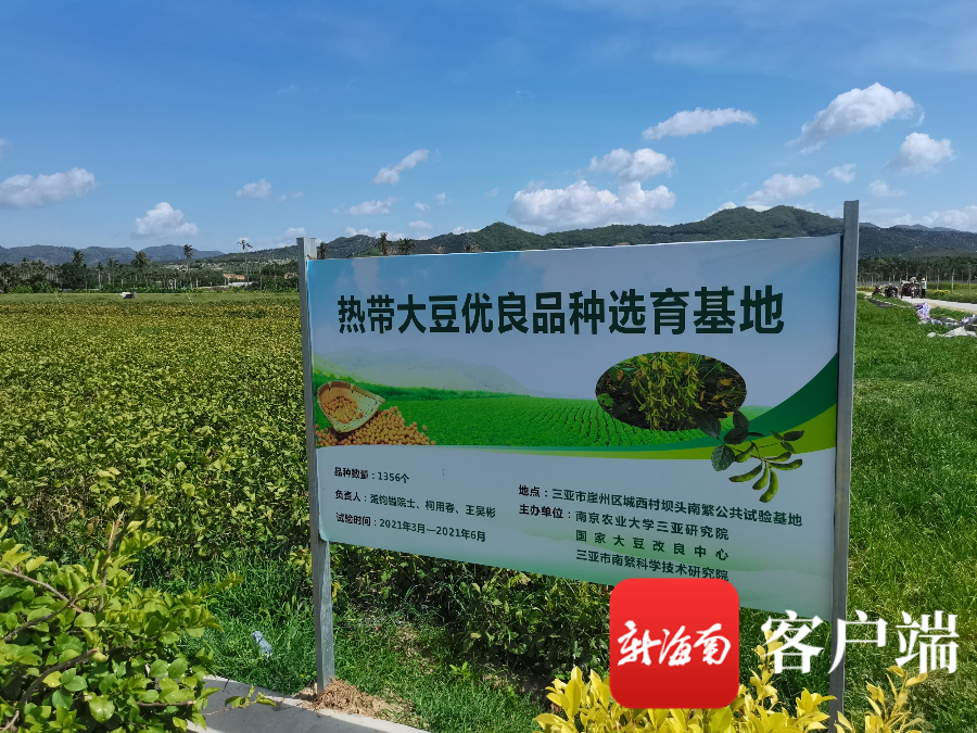 插入图片